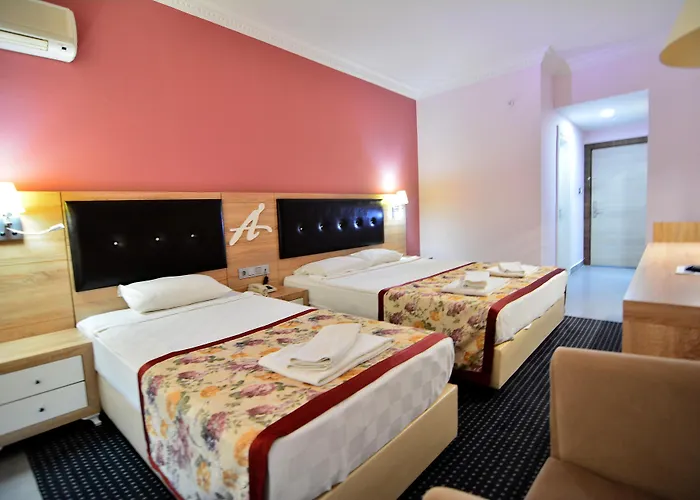 Ananas Otel 4*